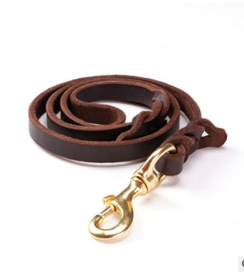 Leather dog leashes