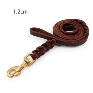 Leather dog leashes