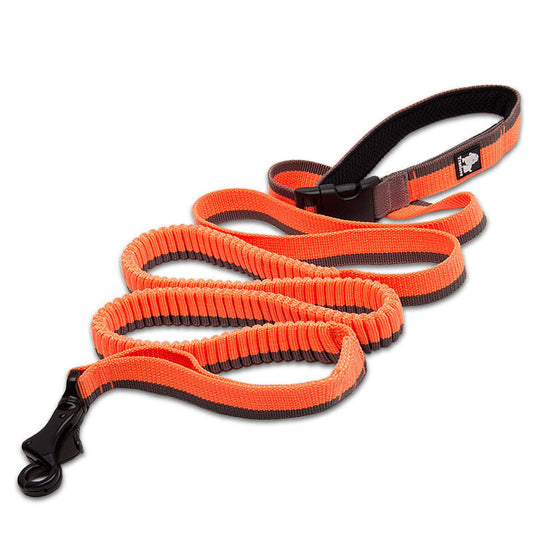 Pet leash