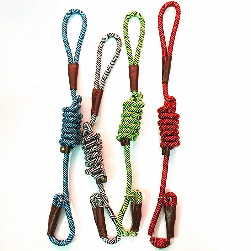 Dog Leash