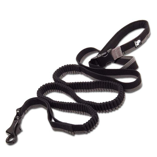 Pet leash