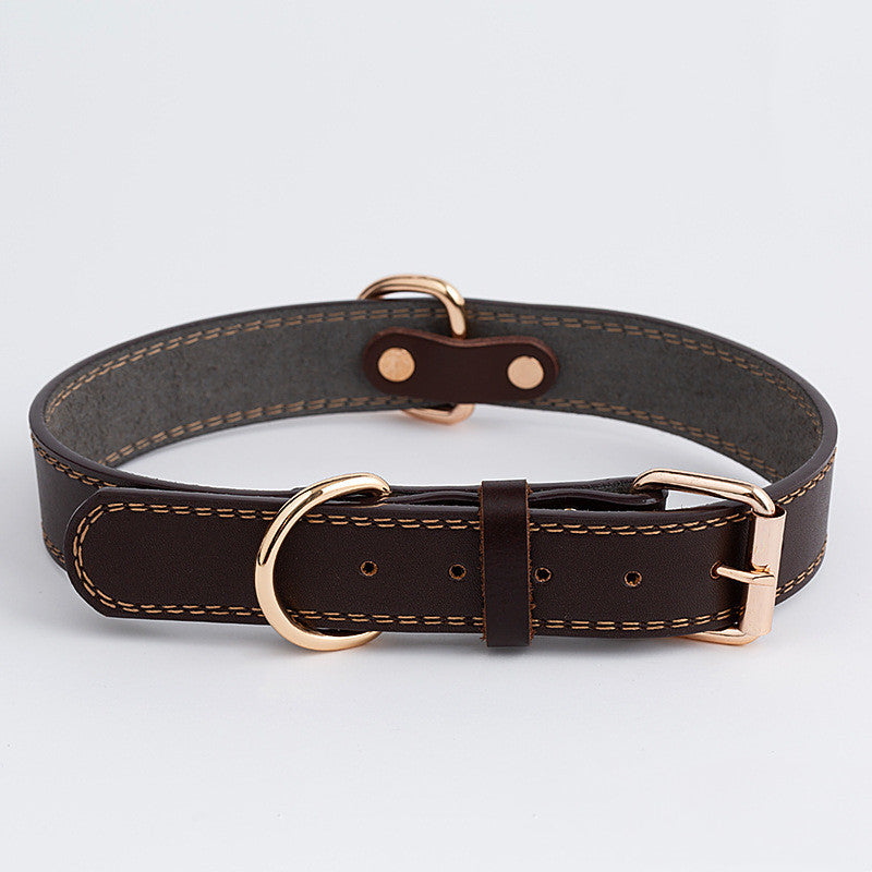 Dog Collar
