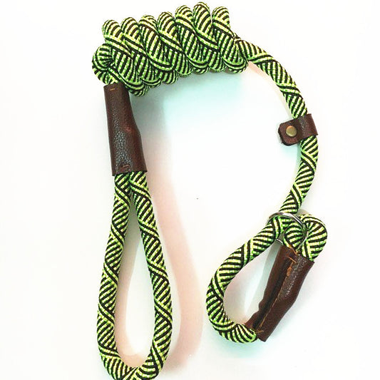 Dog Leash