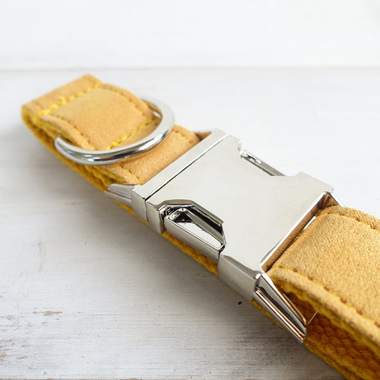 Dog collar