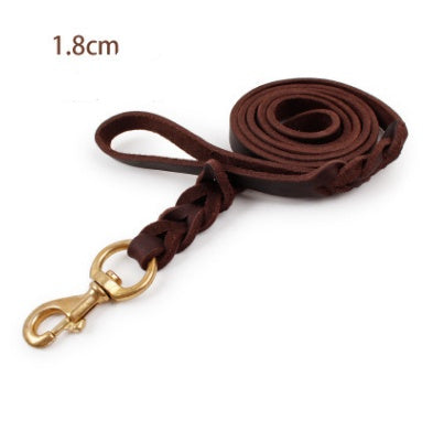 Leather dog leashes