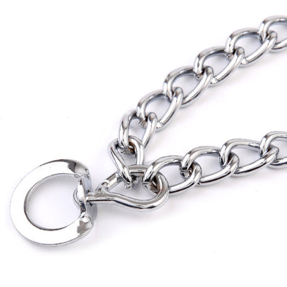 Dog Training Collar With Protective Sleeve