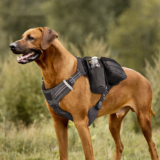 Dog Leash Chest Strap Comfortable
