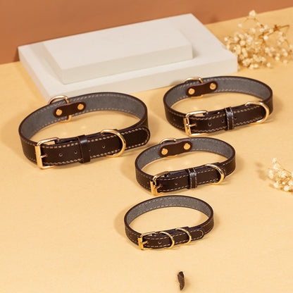 Dog Collar