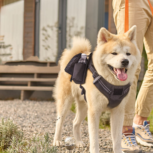 Dog Leash Chest Strap Comfortable