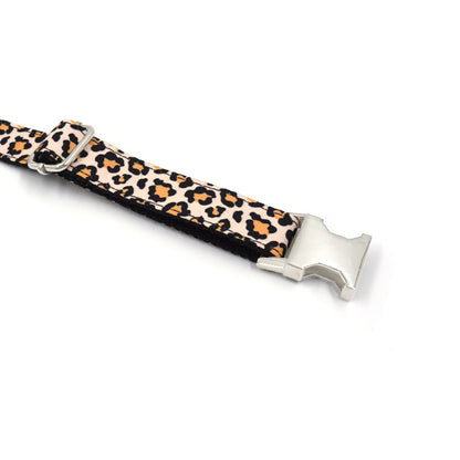 Dog Collar