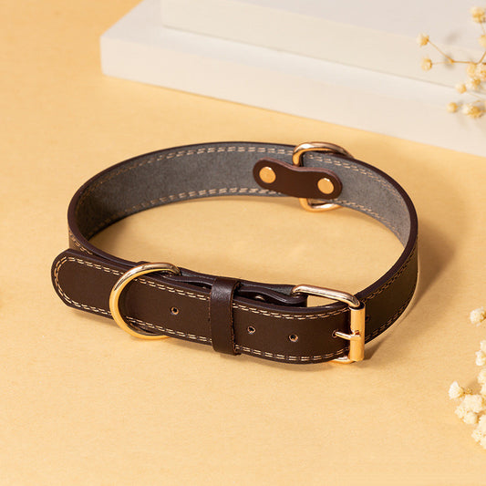 Dog Collar