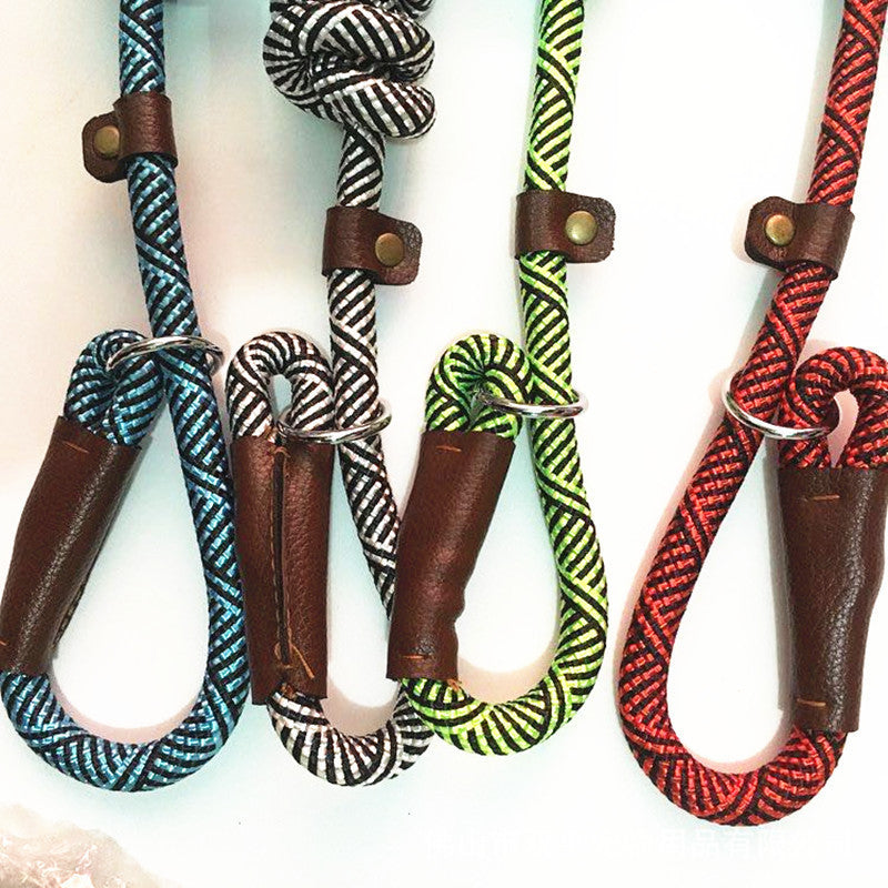 Dog Leash